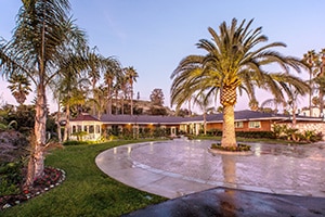 University Care Center palm trees and lawn
