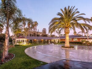 University Care Center palm trees and lawn