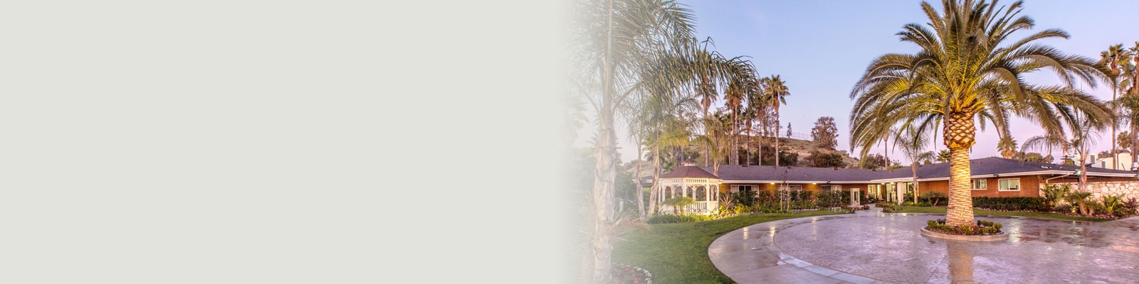 University Care Center palm trees and lawn front circle drive and entry